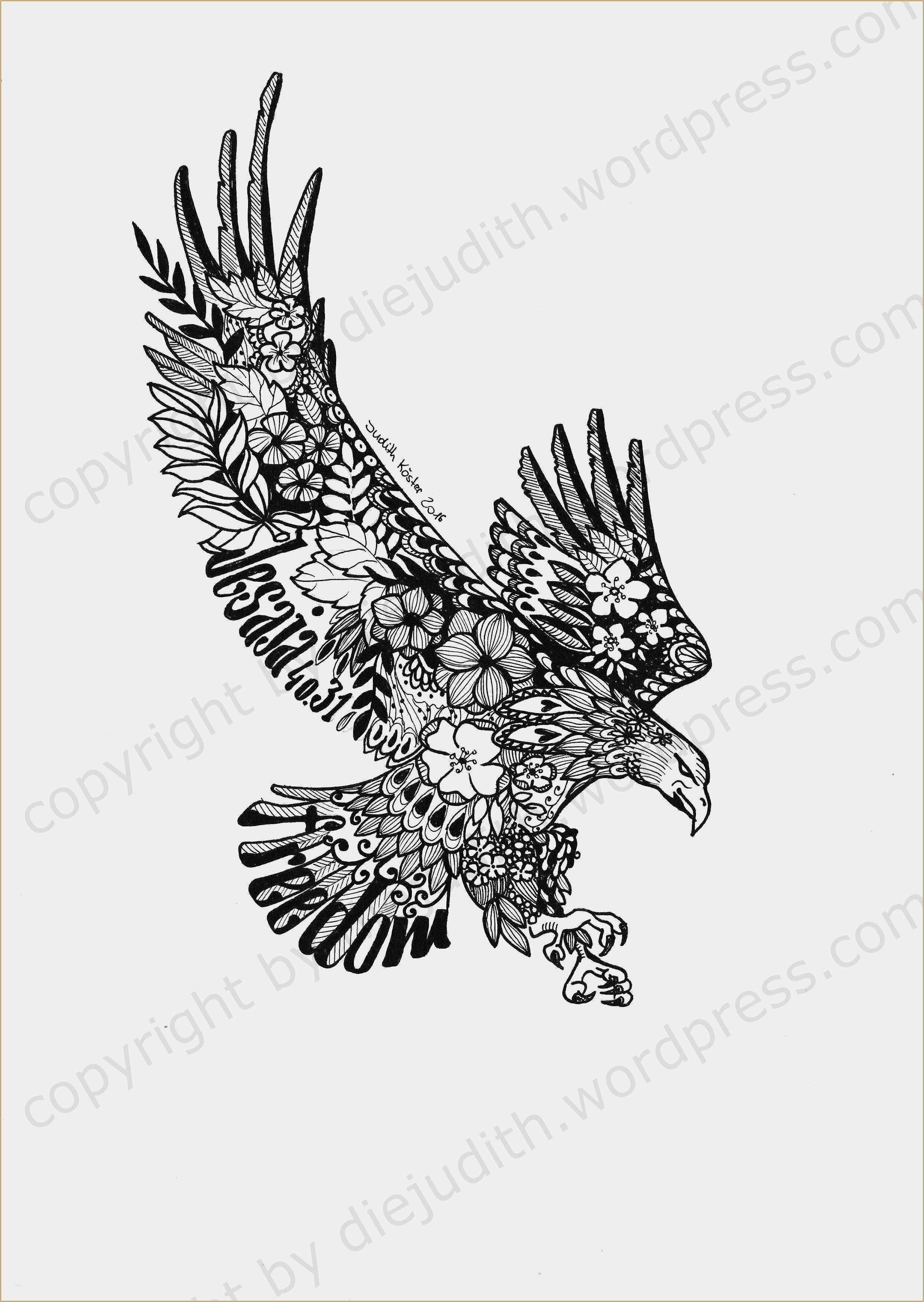 Albanische Flagge Tattoo Vorlage Gut Polnischer Adler ...