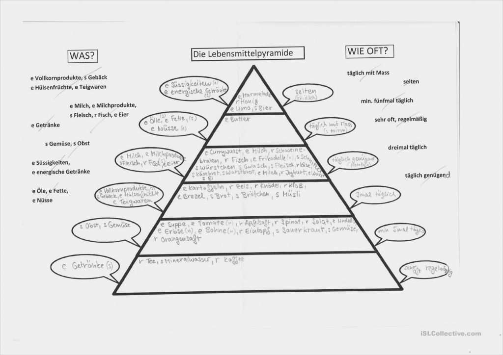 Dreidimensionale Lebensmittelpyramide Pdf