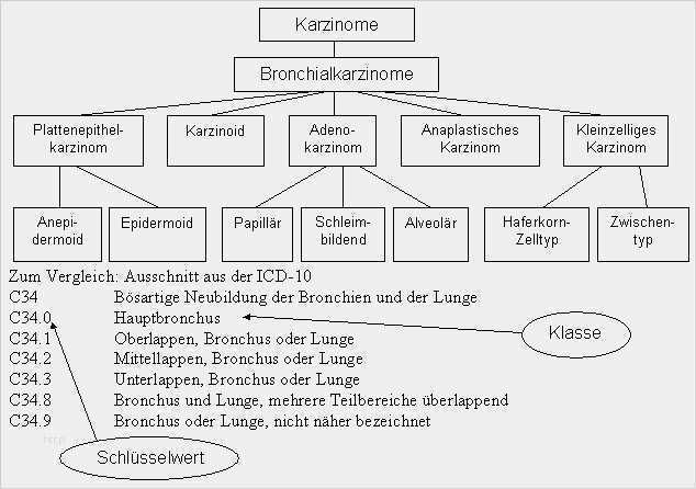 31 Erstaunlich Patientendokumentation Vorlage Bilder ...