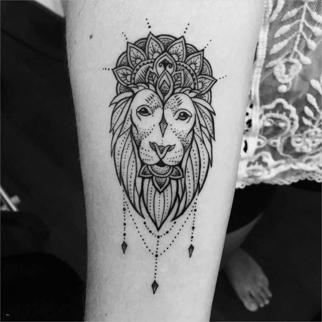 Tattoo Vorlagen Mandala Luxus Lion Mandala Tattoo Tattoos I Love