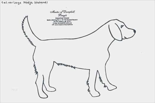 Vorlage Trainingsplan Hund Wunderbar Master Of Dumphill Beagletipp S